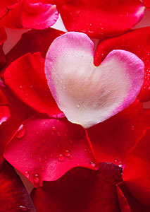 Celebrations Valentines Day